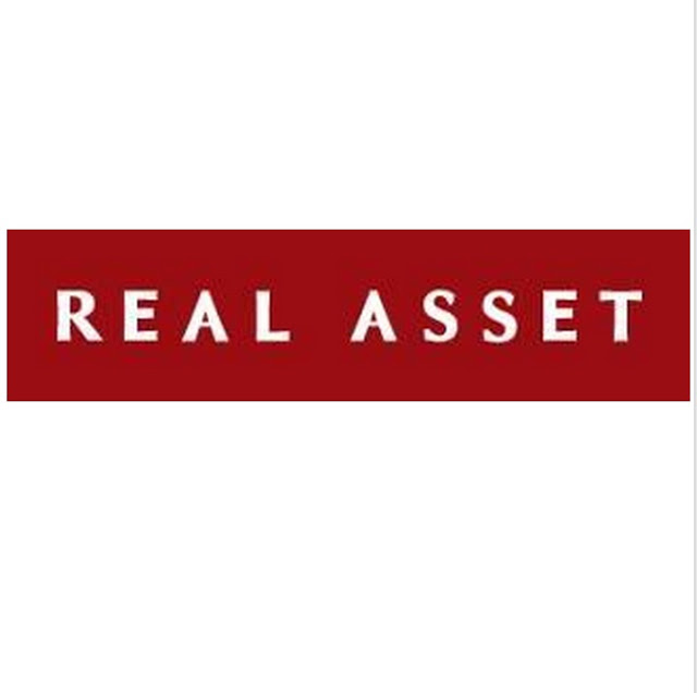 Real Asset